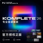 Native Instruments Komplete K26