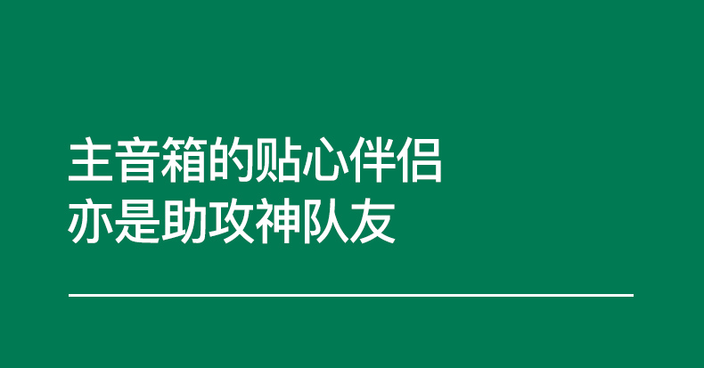 GENELEC真力 7050C插图19