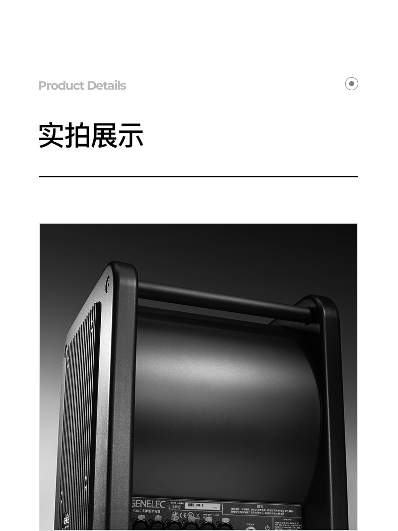 GENELEC真力 7050C插图29